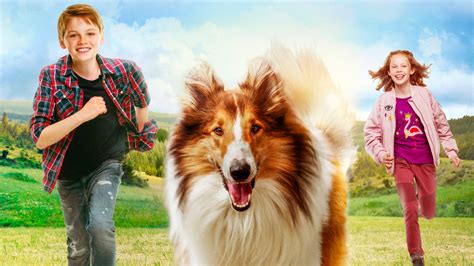 Lassie - Un classico per famiglie con una cagnetta eroica e avventure emozionanti!