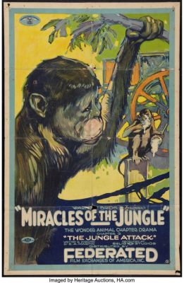  The Miracle of the Jungle - Una storia di coraggio animale e amicizia imprevista nella giungla del 1909?